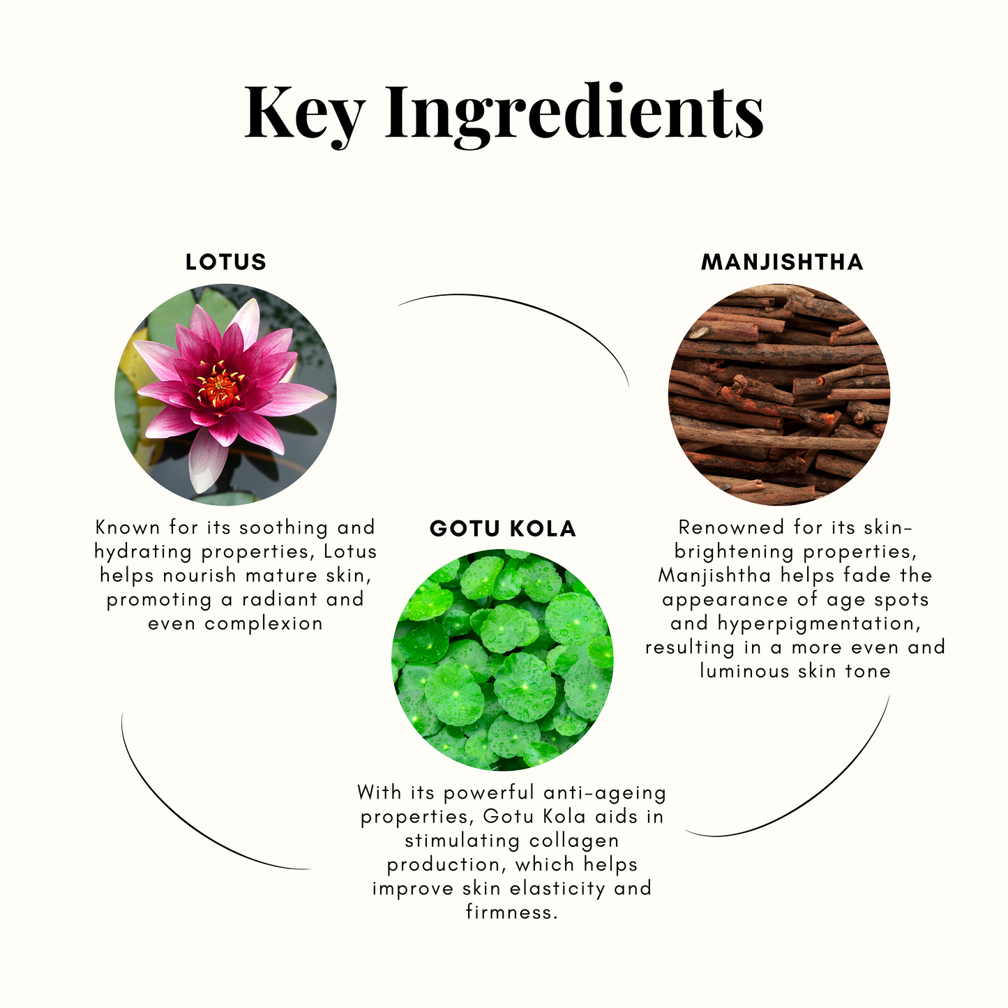 Soap Free Herbal Face Cleanser