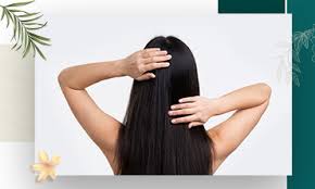 ayurvedic and herbal hair care products